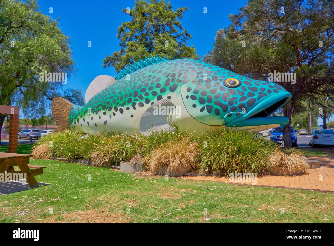Swan Hill, Victoria, Australia, Arnold the Big Murray Cod, the Iconic freshwater fish Stock Photo