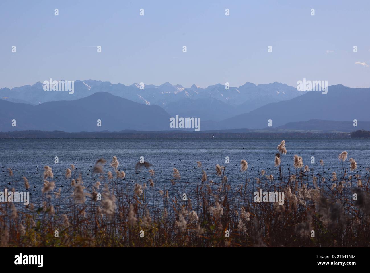 Feldafing, Bayern, Deutschland 08. November 2023 Ein Herbsttag bei