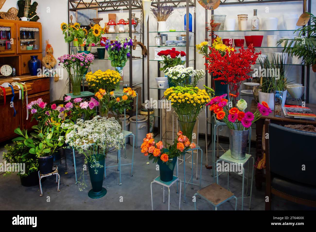 Flower (plant store) in Dusseldorf  -  fantastic enjoyment of life ( beuty of nature) Stock Photo