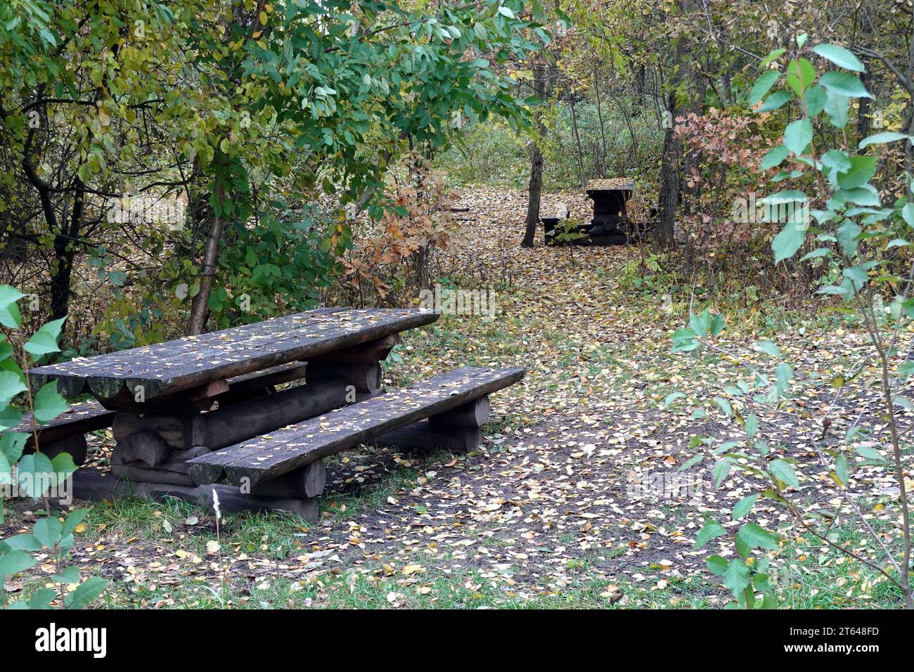 Empty benches table trees bench hi-res stock photography and images - Alamy