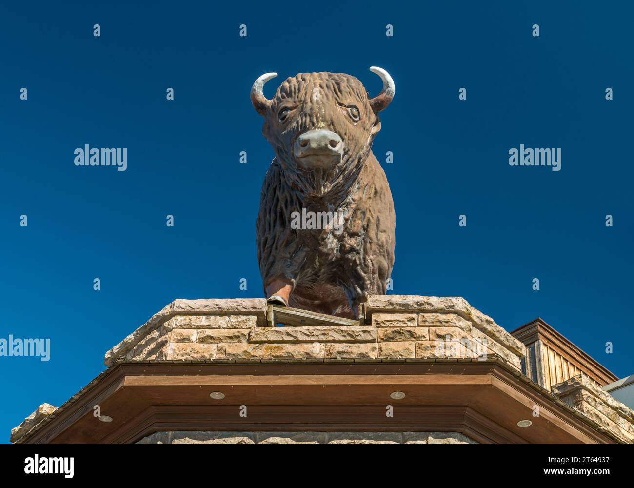 Buffalo sculpture on office building at Main Street in Driggs, Teton Valley, Idaho, USA Stock Photo