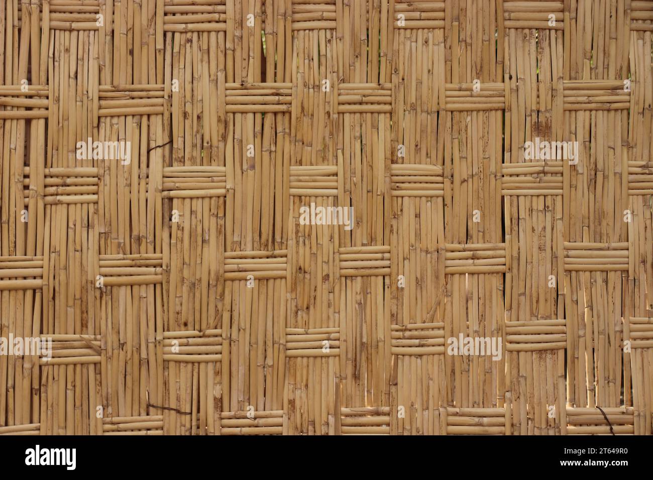 reed screen / wall paper Stock Photo Alamy