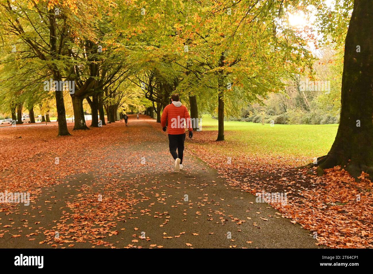 Bristol, UK. 08th Nov, 2023. On a mild and damp afternoon peolple are seen walking through a path of Golden leaves and colourful trees. Picture Credit: Robert Timoney/Alamy Live News Stock Photo