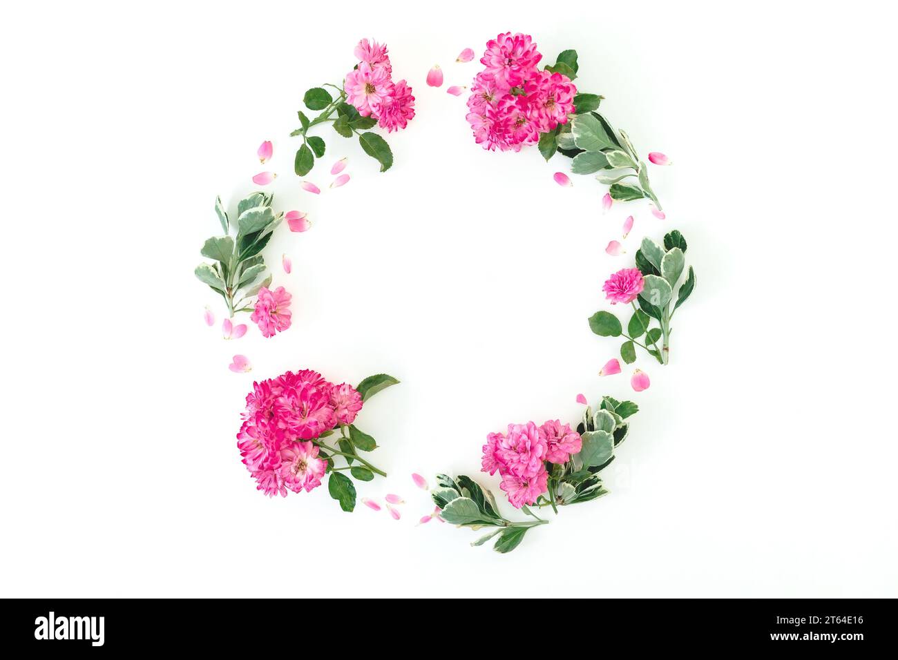 Round frame made of pink roses with leaves on white background. Flat ...