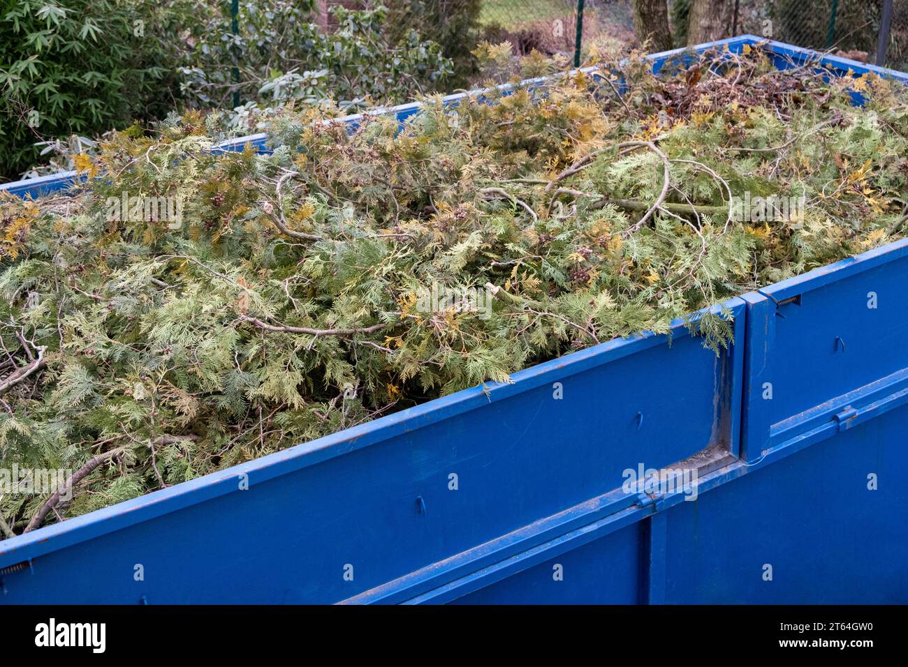 Bio waste, pine tree branches, waste are collected in a container