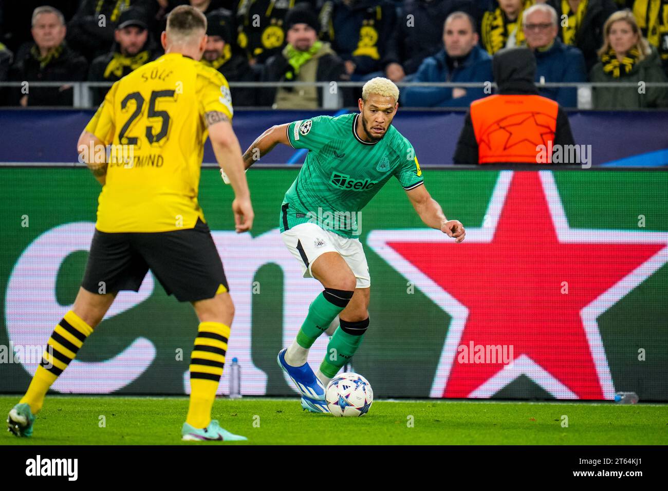 Dortmund, Germany. 07th Nov, 2023. DORTMUND, GERMANY - NOVEMBER 7: Joelinton of Newcastle United dribbles with the ball towards Niklas Sule of Borussia Dortmund during the UEFA Champions League Group F match between Borussia Dortmund and Newcastle United FC at the Signal Iduna Park on November 7, 2023 in Dortmund, Germany (Photo by Rene Nijhuis/BSR Agency) Credit: BSR Agency/Alamy Live News Stock Photo