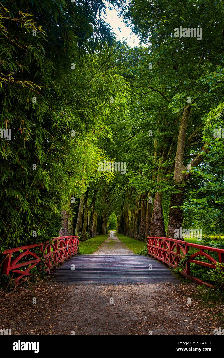 Une Allée sous les arbres dans le Parc de Richelieu dans la commune du meme nom en Indre et Loire Stock Photo