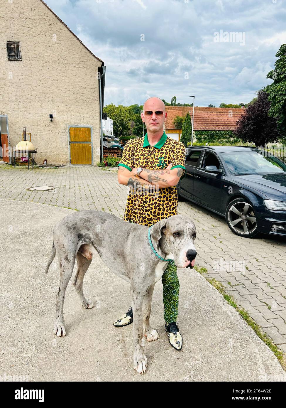 Young man with a Great Dane, Bavaria, Germany Stock Photo