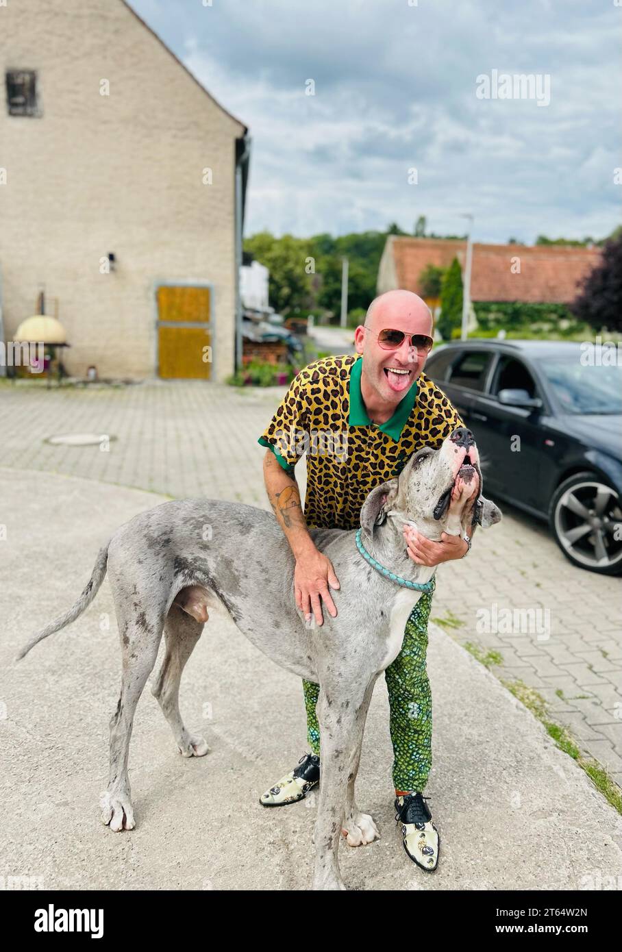 Young man with a Great Dane, Bavaria, Germany Stock Photo