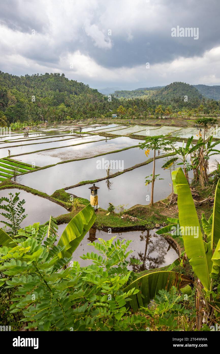 Here you can see the unique buildings for rice cultivation hi-res stock ...