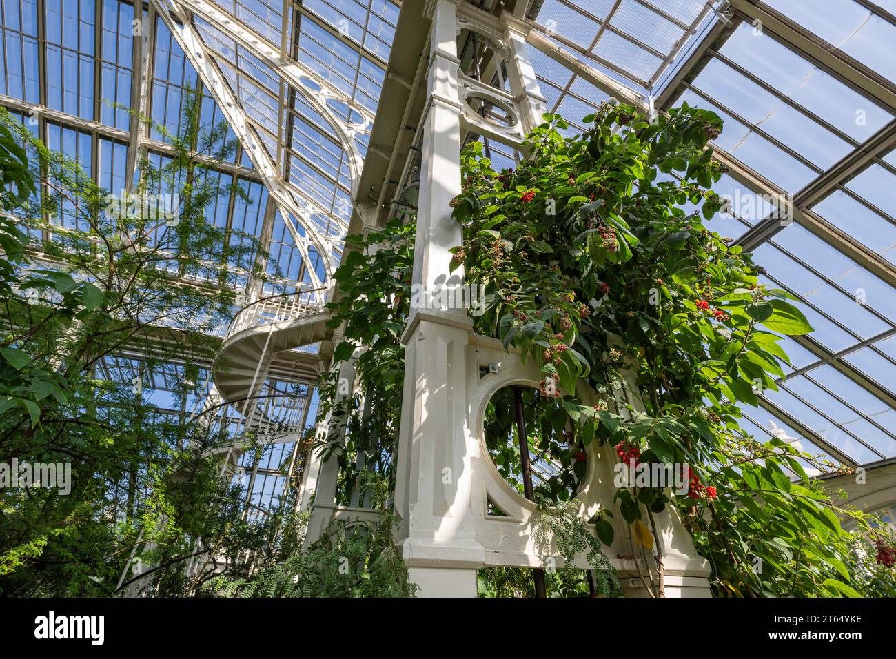 Pillars, Temperate House, largest Victorian greenhouse in the world, Royal Botanic Gardens (Kew Gardens), UNESCO World Heritage Site, Kew, Greater Stock Photo
