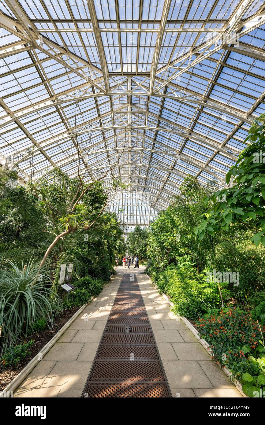 Temperate House, the largest Victorian greenhouse in the world, Royal Botanic Gardens (Kew Gardens), UNESCO World Heritage Site, Kew, Greater London Stock Photo