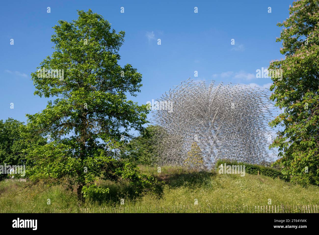 The Hive, artwork by Wolfgang Buttress, Royal Botanic Gardens (Kew Gardens), UNESCO World Heritage Site, Kew, Greater London, England, United Kingdom Stock Photo