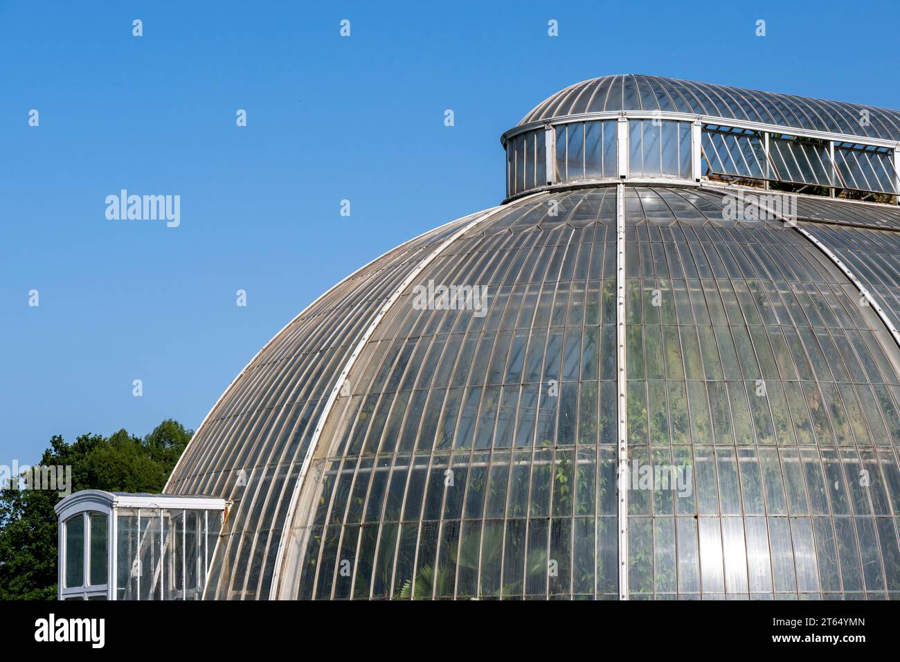 Roof construction, Palm House, oldest Victorian greenhouse in the world, Royal Botanic Gardens, Kew, London, England, Great Britain Stock Photo