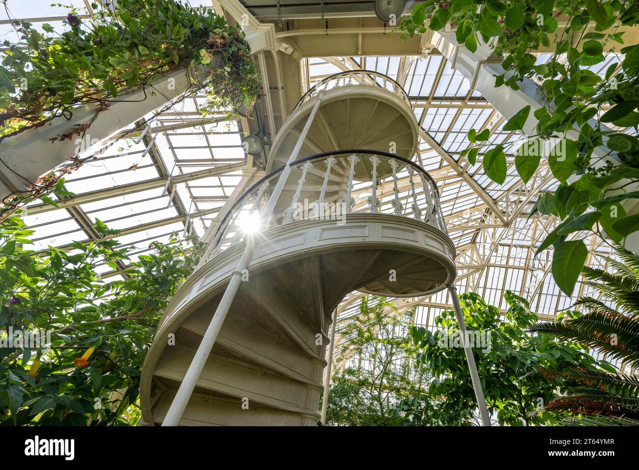 Cast-iron spiral staircase, Temperate House, largest Victorian greenhouse in the world, Royal Botanic Gardens (Kew Gardens), UNESCO World Heritage Stock Photo