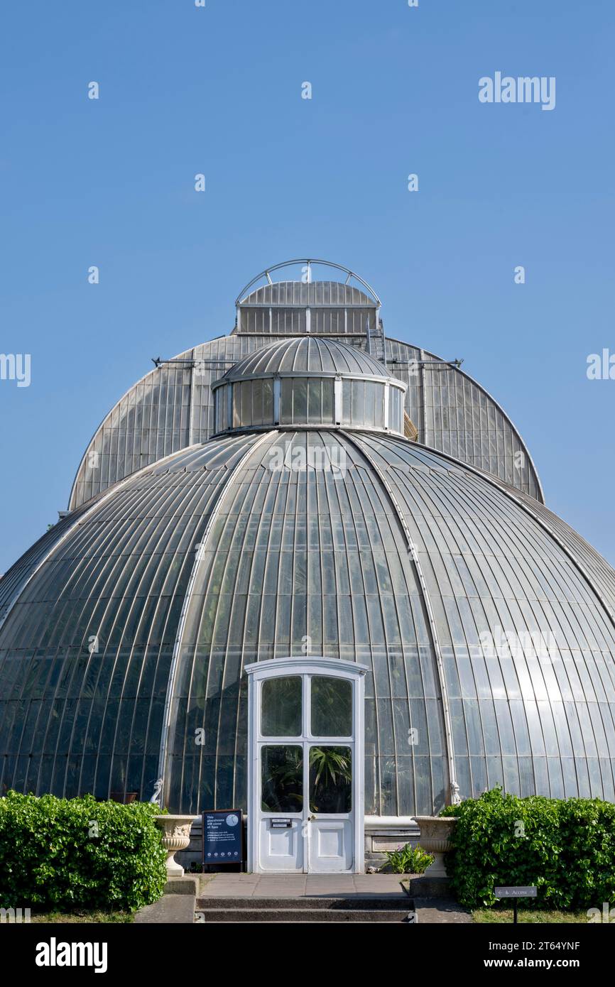 Roof construction, Palm House, oldest Victorian greenhouse in the world, Royal Botanic Gardens (Kew Gardens), UNESCO World Heritage Site, Kew Stock Photo