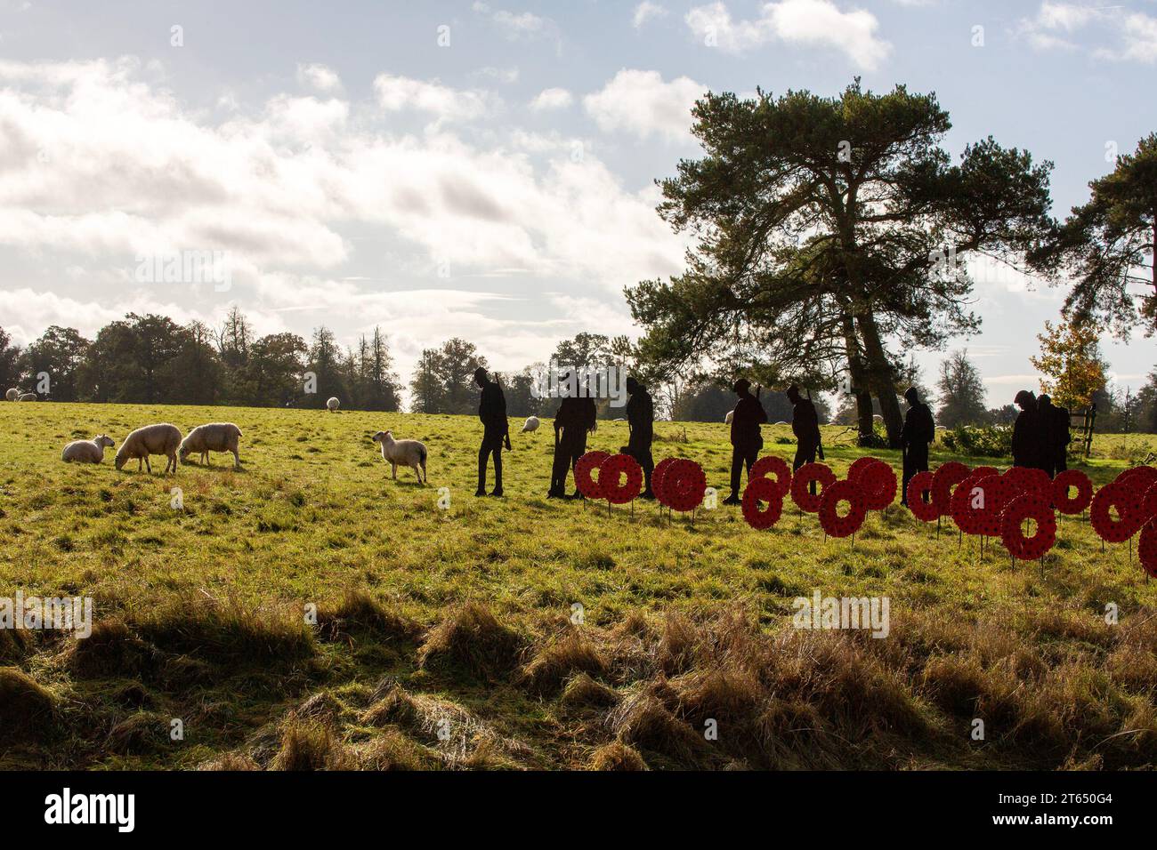 as lambs to the slaughter - soldier silhouettes and poppies handmade by volunteers from recycled materials as part of the STANDING WITH GIANTS Remembr Stock Photo