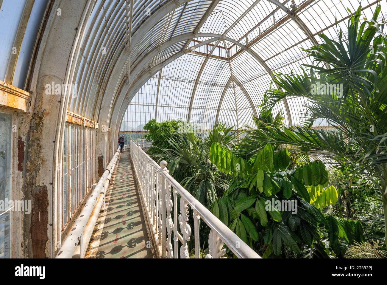 Palm House, oldest Victorian greenhouse in the world, Royal Botanic Gardens, Kew, London, England, Great Britain Stock Photo