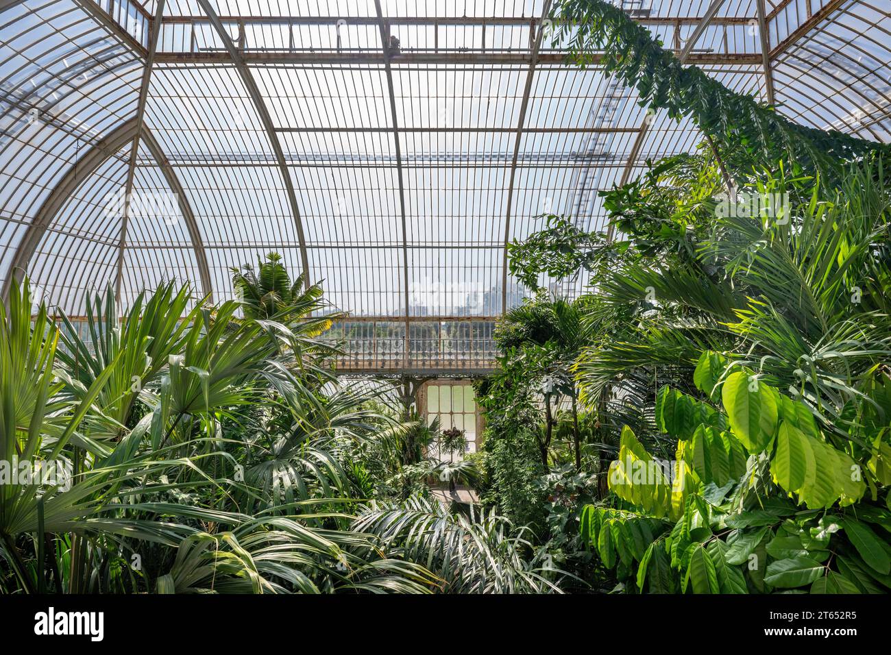 Palm House, the oldest Victorian greenhouse in the world, Royal Botanic Gardens, Kew, London, England, Great Britain Stock Photo