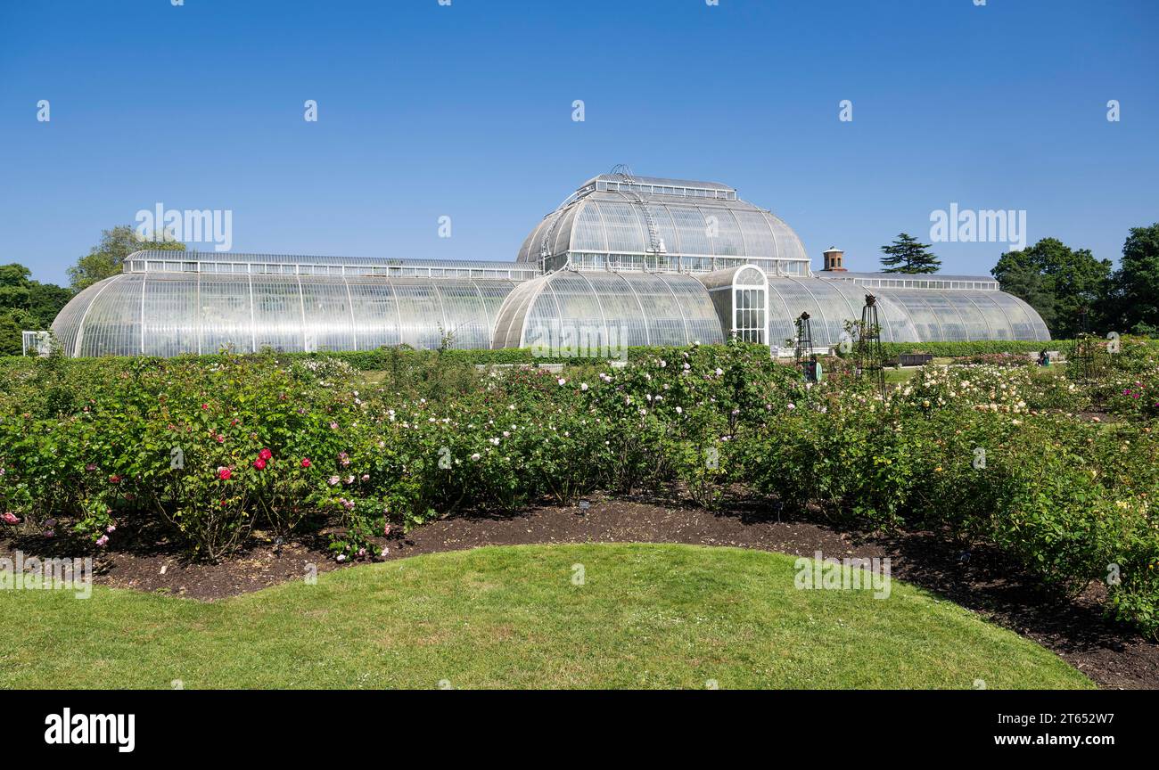 Palm House, oldest Victorian greenhouse in the world, Royal Botanic Gardens, Kew, London, England, Great Britain Stock Photo