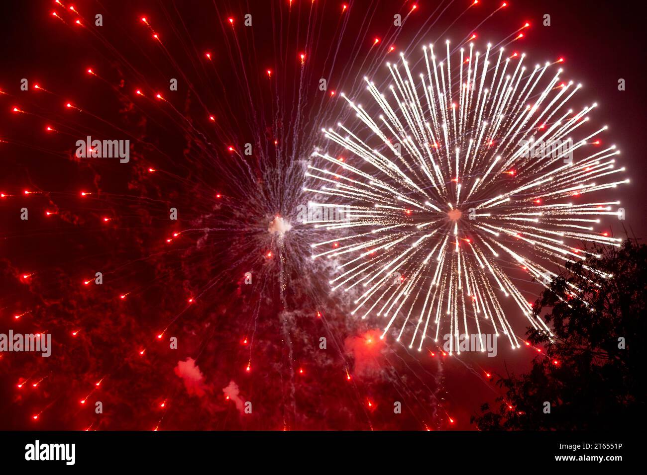 Fireworks exploding against the night sky Stock Photo