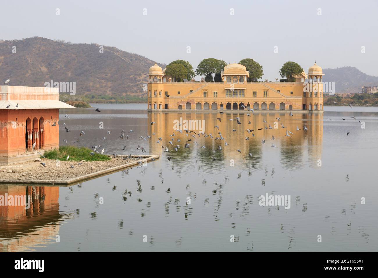 Jal Mahal der Wasserpalast, Jaipur, Rajasthan, Indien Stock Photo