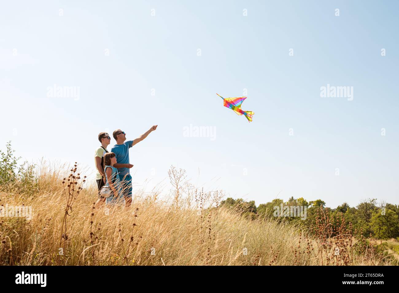 A happy father with children fly a kite on nature. Stock Photo