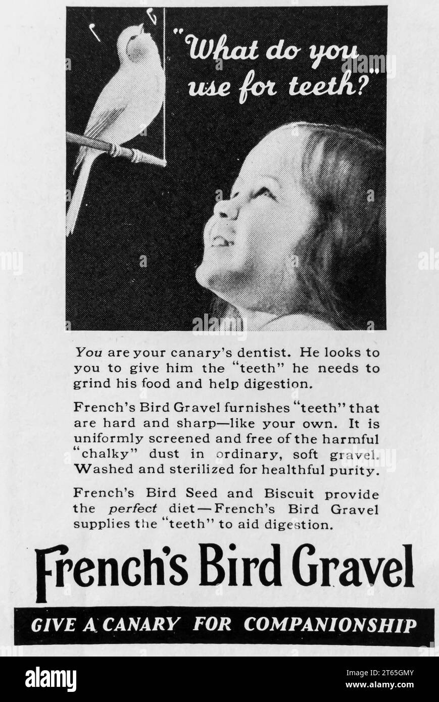 1934 French's bird gravel ad Stock Photo