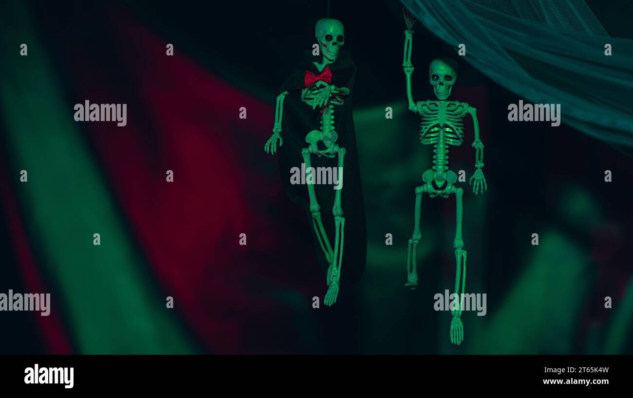 Halloween party decoration. Two horror skeletons hanging from the blue cloth  on a red and green  background in a dark room at night. Stock Photo