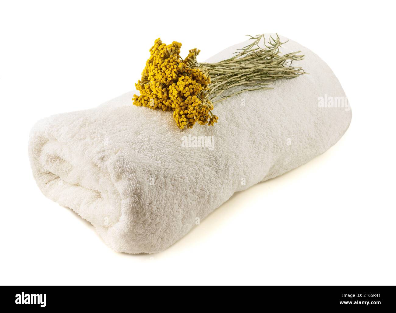 Helichrysum flowers with towel isolated on white background Stock Photo