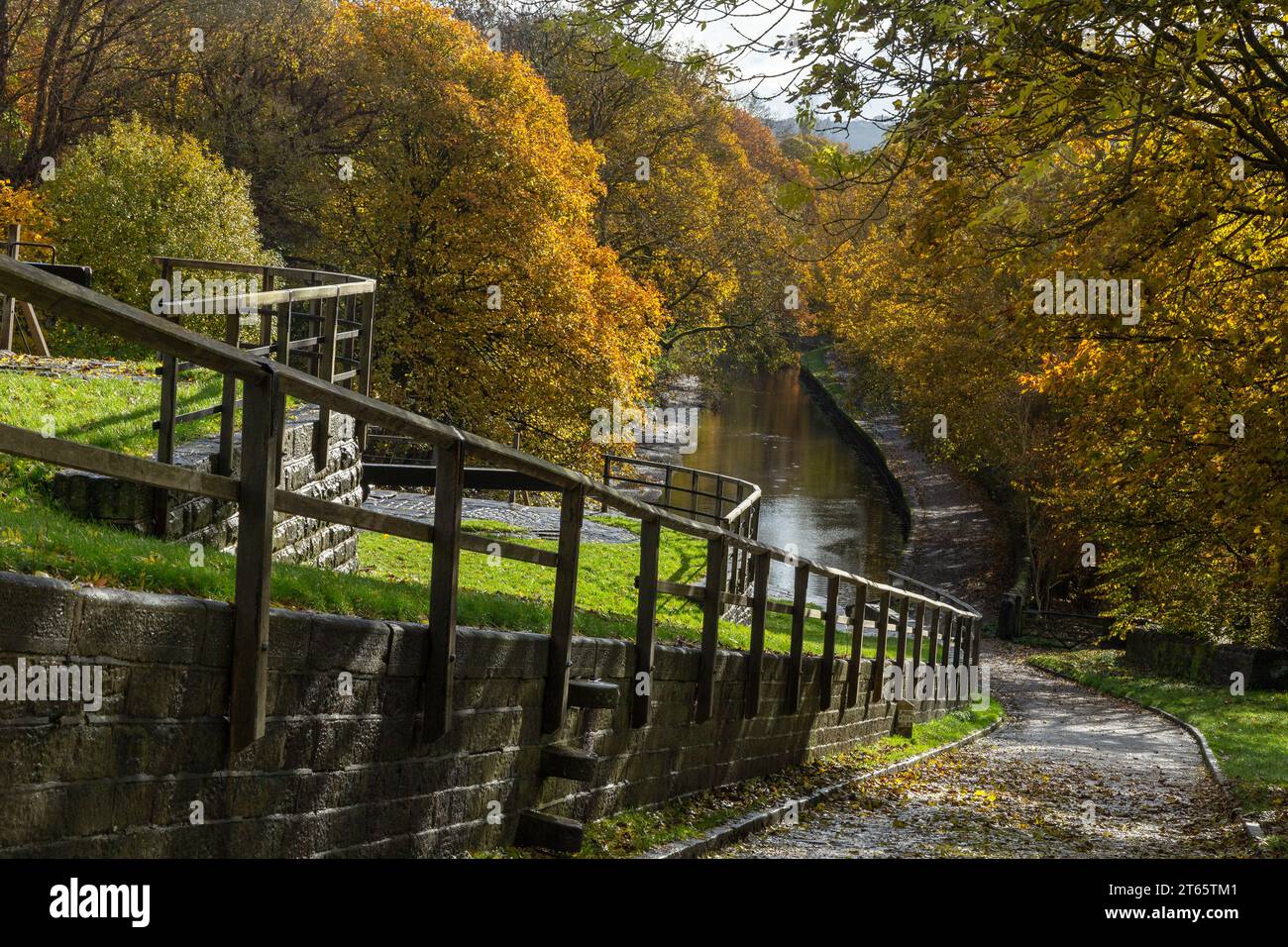 The canal towpath at the side of Bingley Five Rise Locks in Yorkshire. The trees next to the Leeds Liverpool canal are in full autumn colour. Stock Photo