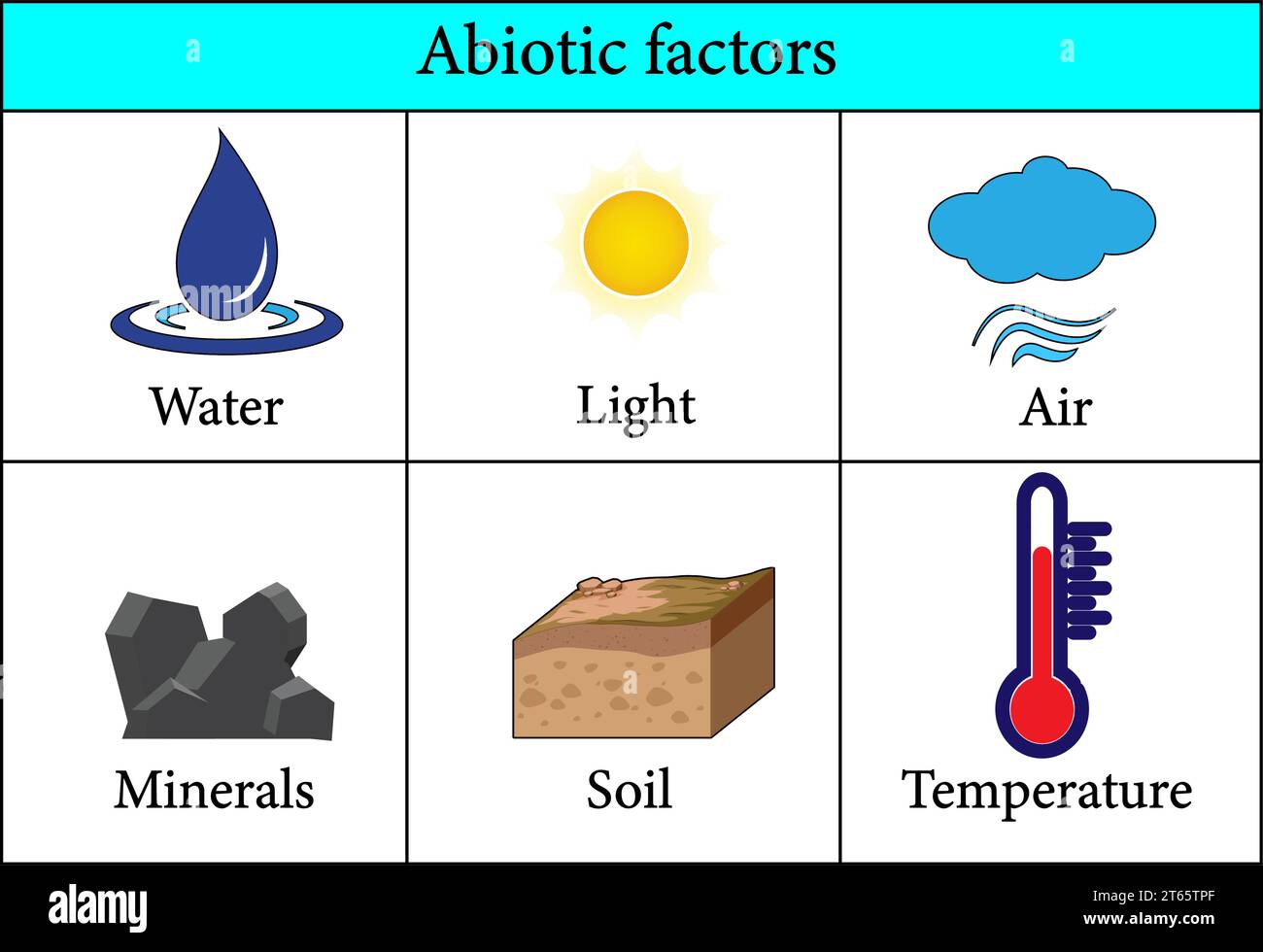 Biotic Component Stock Vector Images Alamy biotic-component-stock-vector-images-alamy
