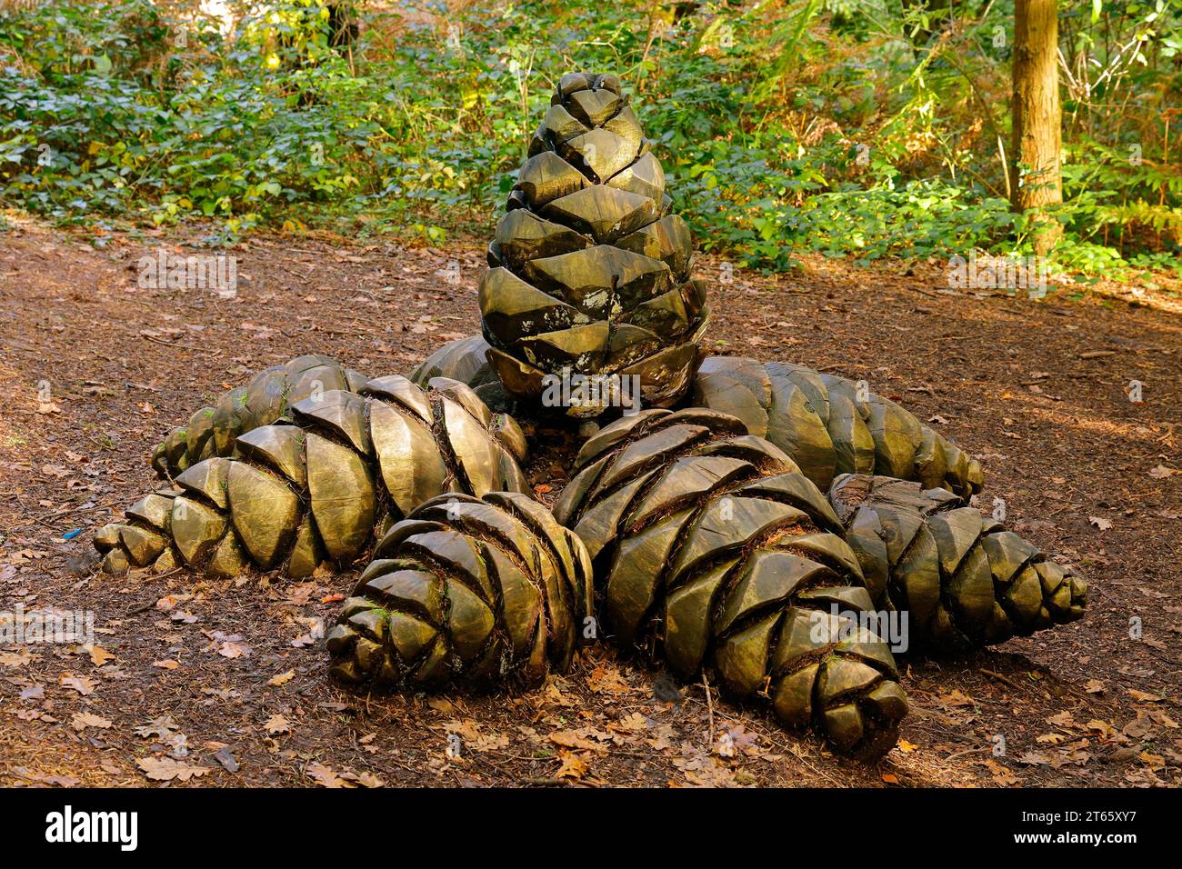 Giant fir cone installation / sculpture. Autumn scene at Parc Cefn Onn,/ Cefn Onn Country Park, Lisvane, near Cardiff. Taken November 2023 Stock Photo