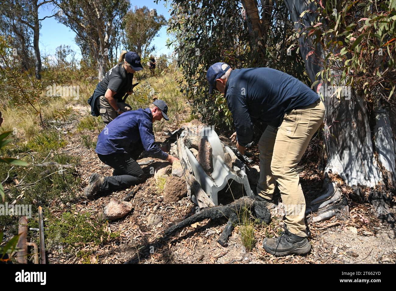 Bredbo, Australia. 25th Oct, 2023. Workers of Habitat Innivation and ...