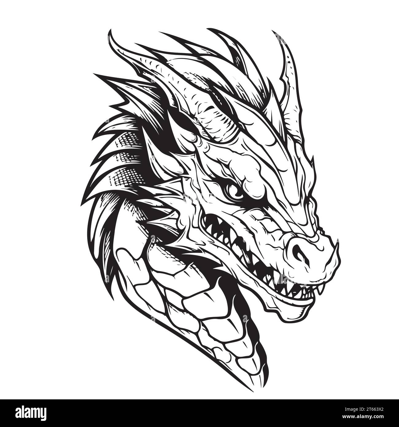 Dragon head drawing hi-res stock photography and images - Alamy