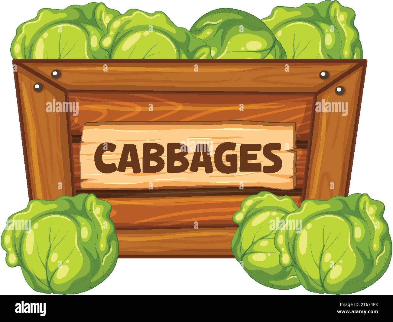 Colorful cabbages displayed in a wooden box with a sign banner Stock Vector