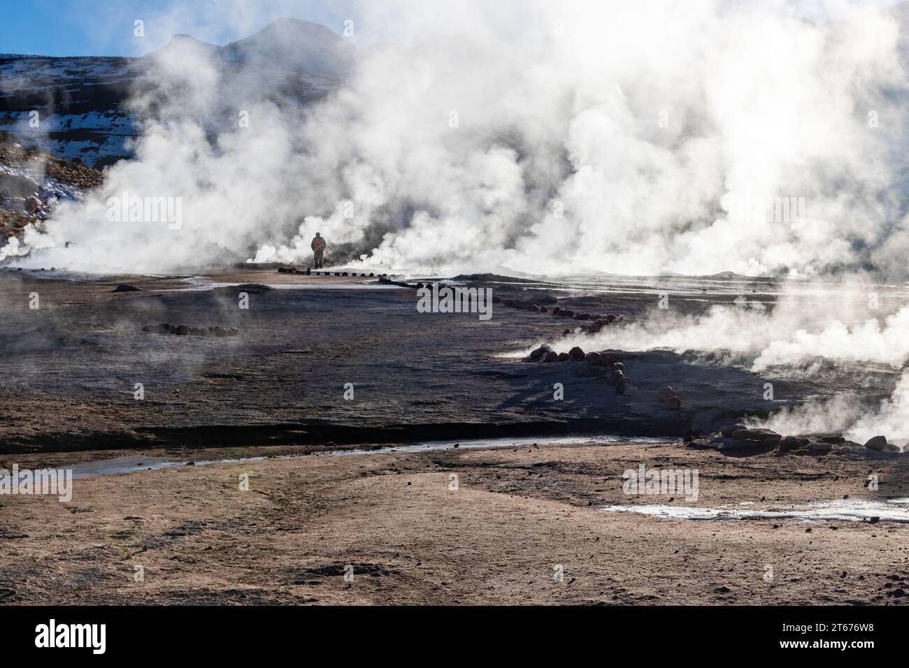 El Tatio geyser field in the early morning in northern Chile. Stock Photo