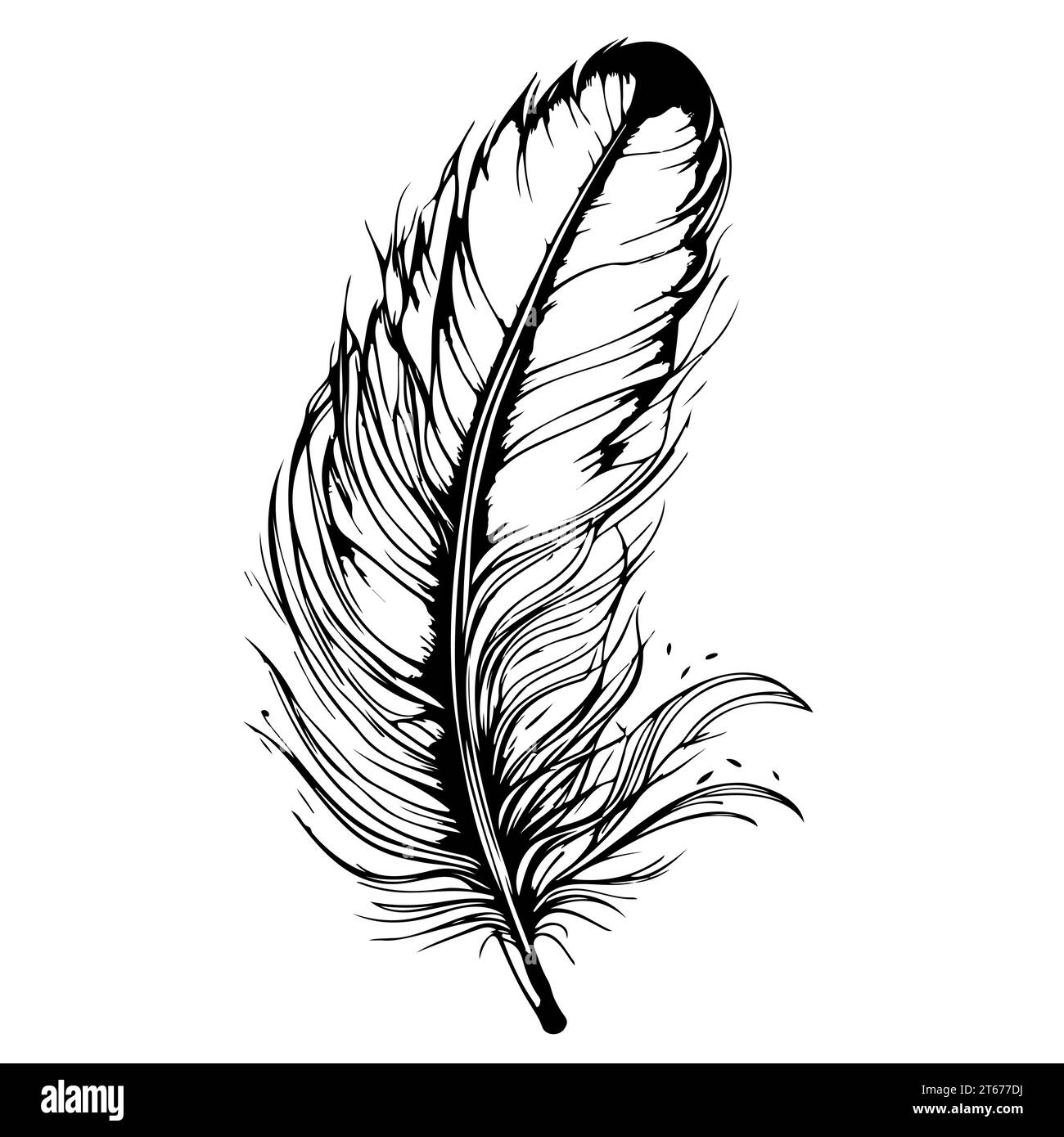 Black and white bird feather hand drawn vector illustration Stock