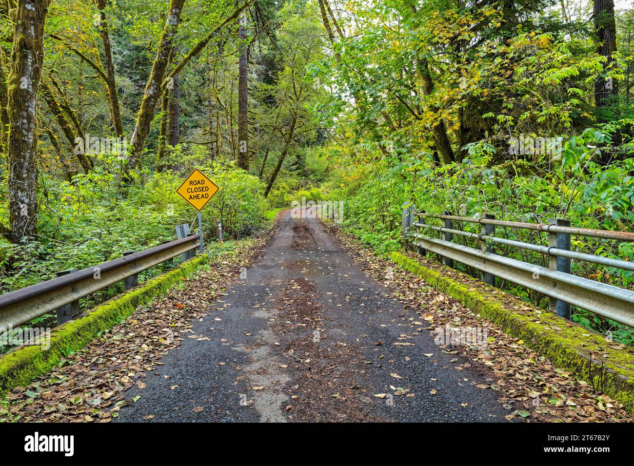 A Road Closed Ahead sign on the bridge over Keller Creek in the Siuslaw National Forest in Oregon, USA Stock Photo