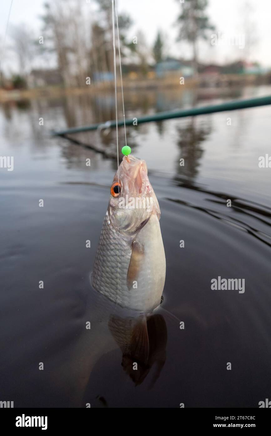 Leger rig hi-res stock photography and images - Alamy