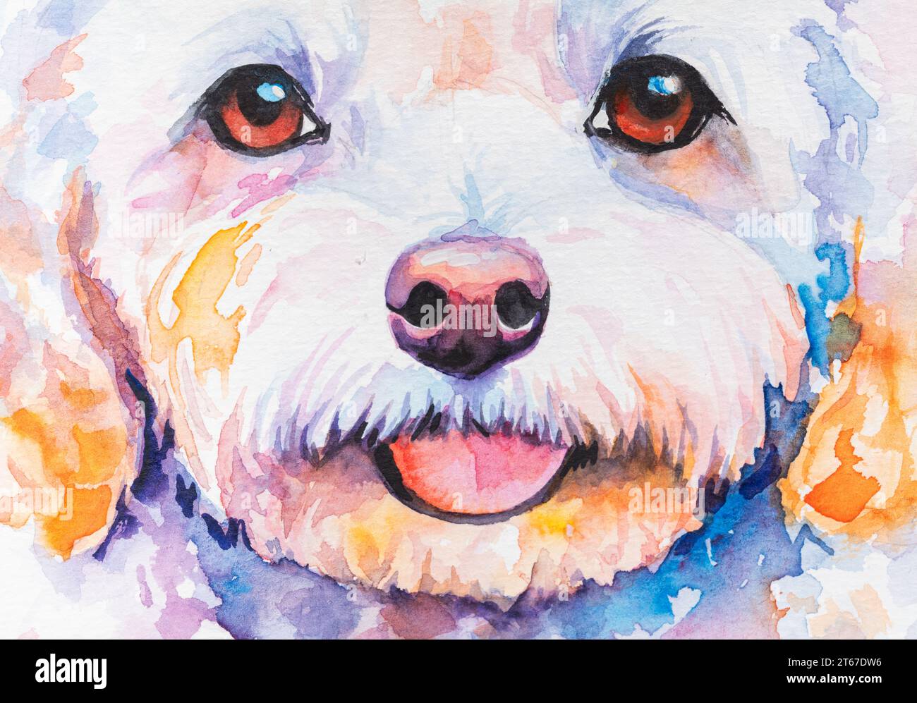 dog painted in watercolor on a white background Stock Photo Alamy
