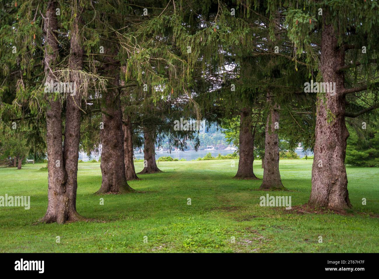 Otisco Lake Park in the Finger Lakes Stock Photo Alamy
