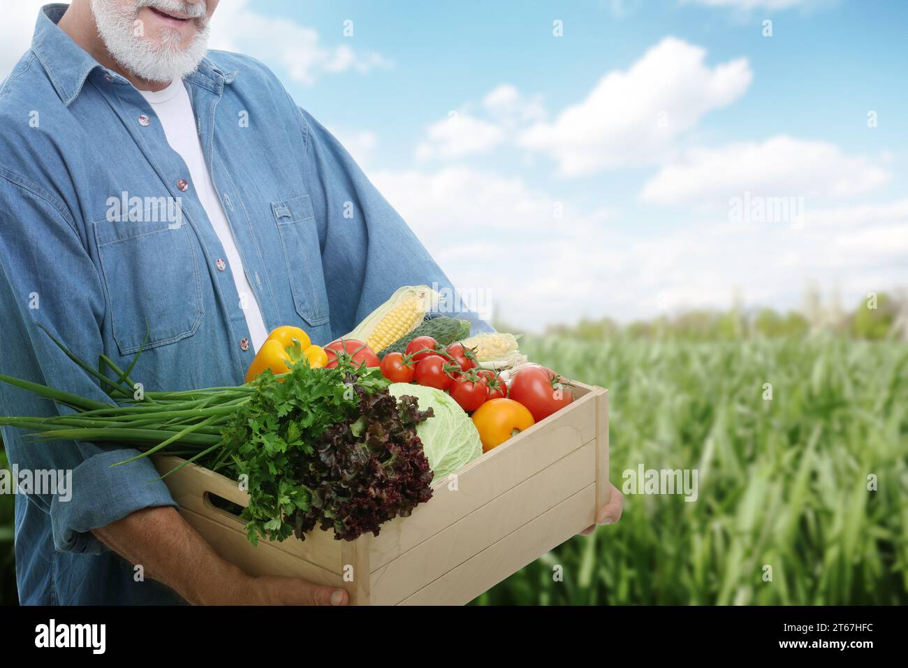 Harvesting season. Farmer holding wooden crate with crop in field ...