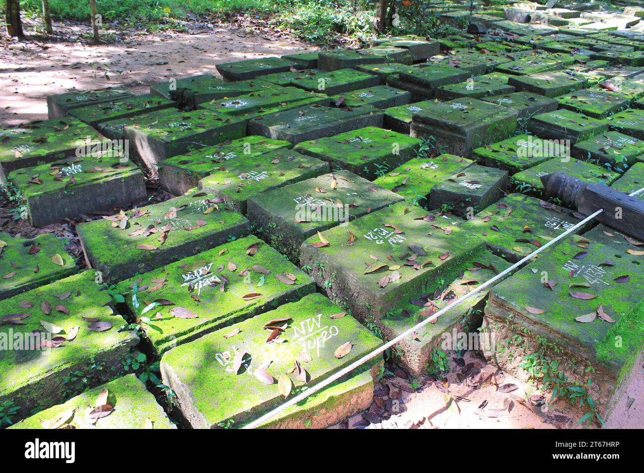 Moss covered stone blocks lie in the shade at Angkor Archaeological Park, Cambodia. Each block is numbered to indicate its location for restoration Stock Photo