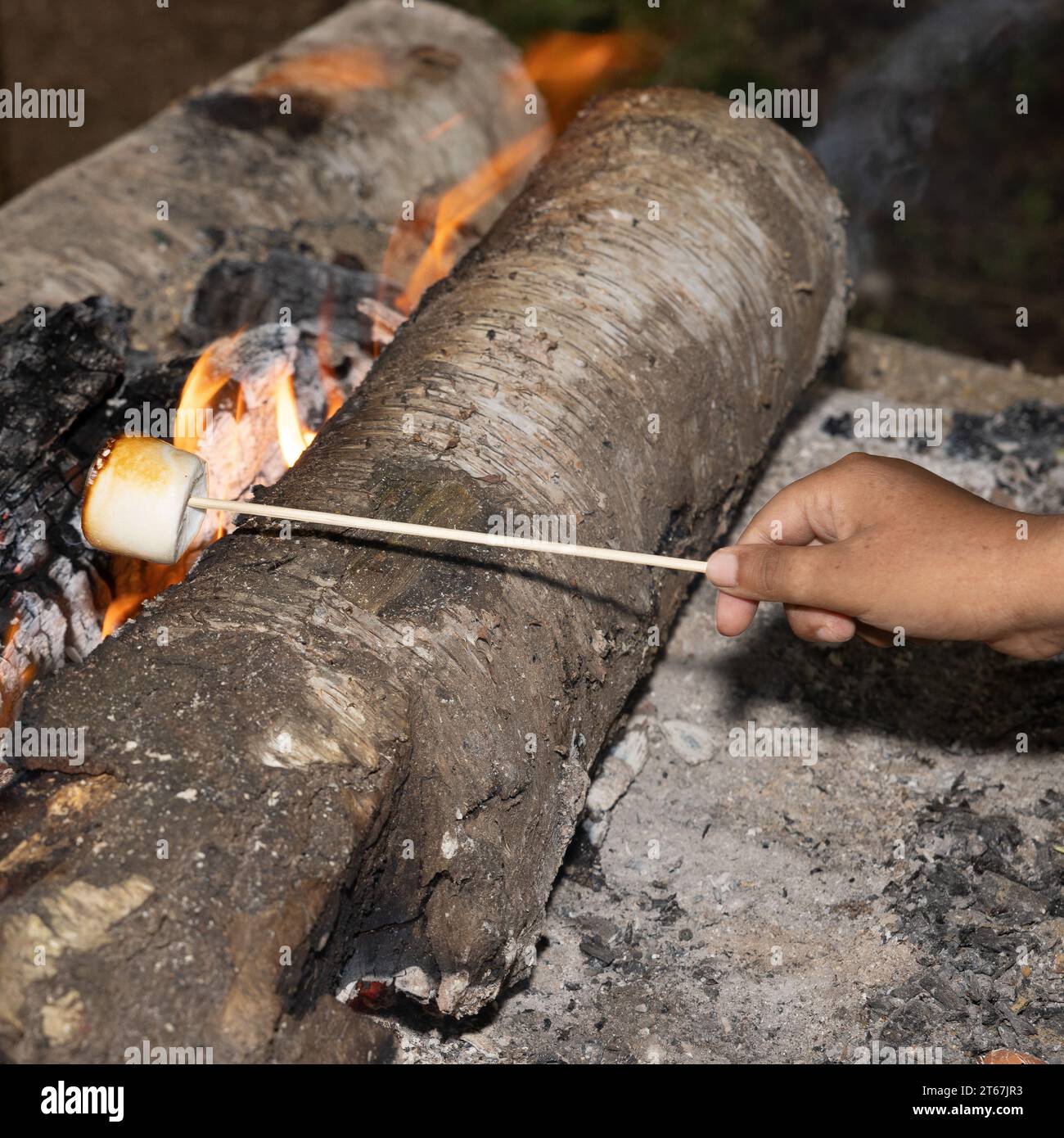 Toasting marshmallows on a log fire Stock Photo