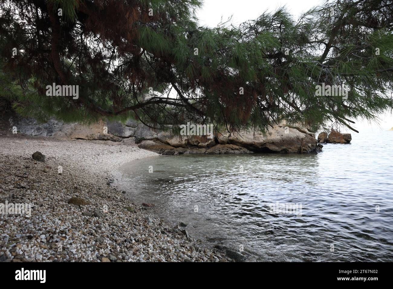 Beautiful clear sea and pebbles on beach Stock Photo - Alamy