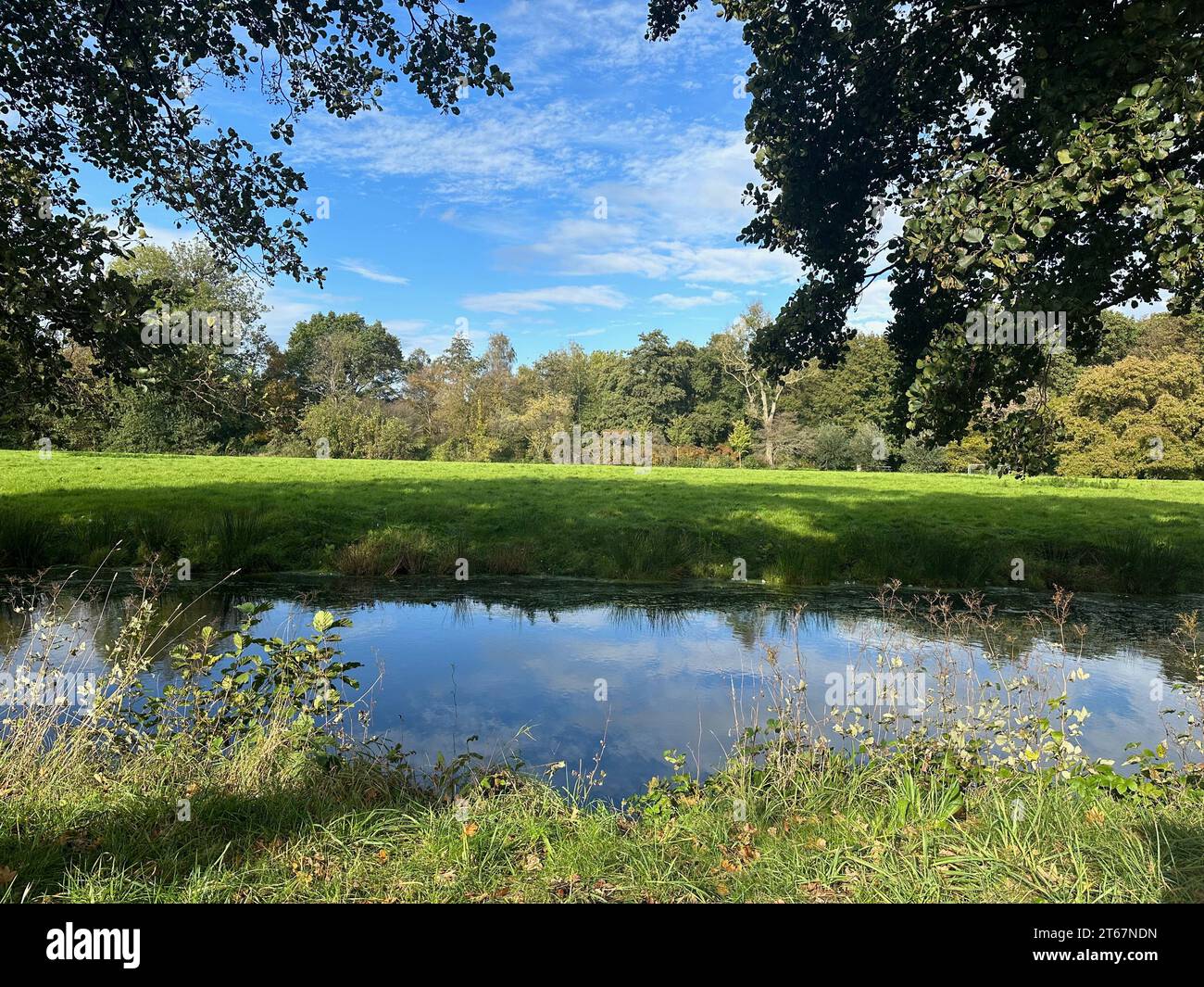 Beautiful water channel, green grass and trees in park Stock Photo