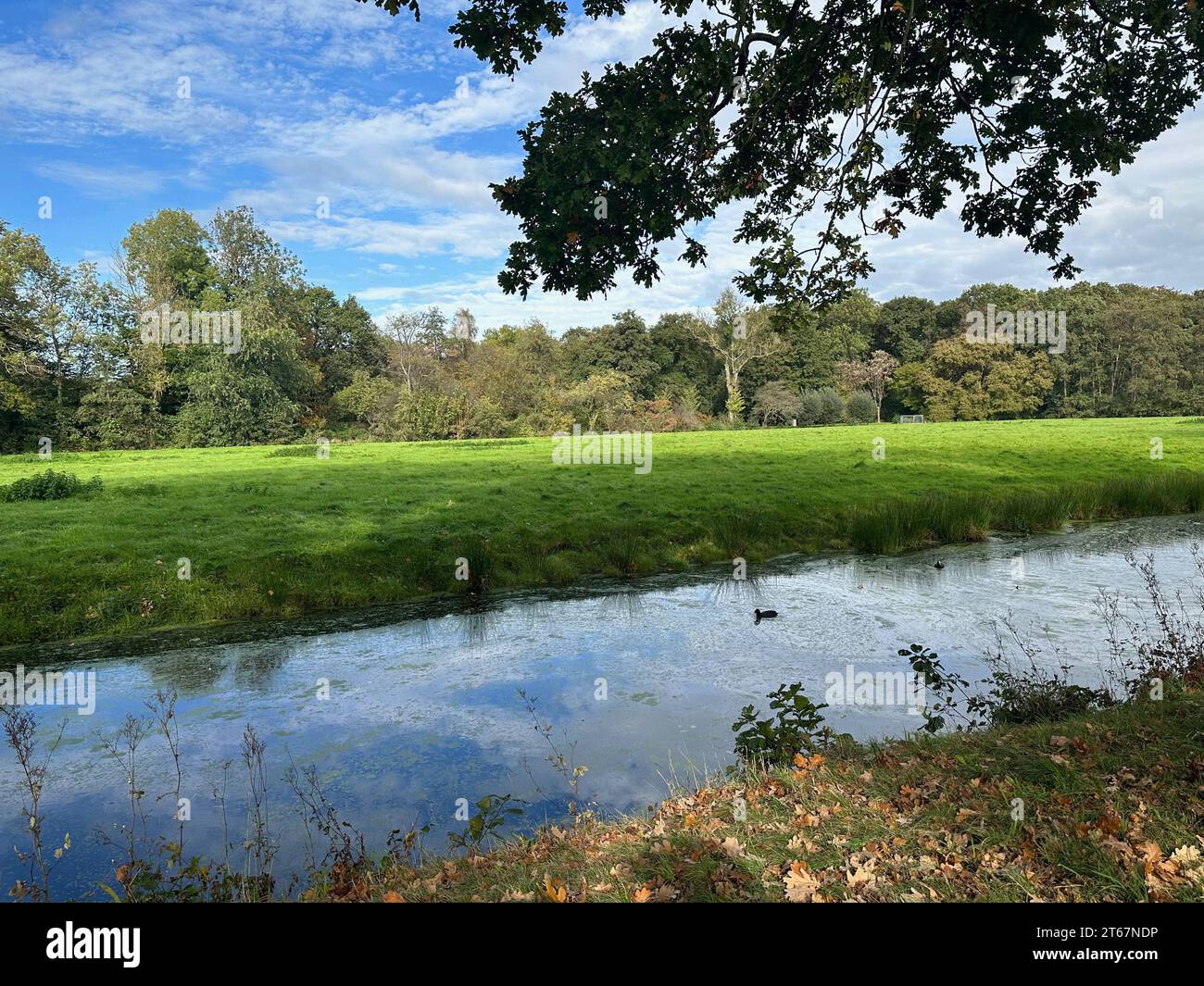 Beautiful water channel, green grass and trees in park Stock Photo