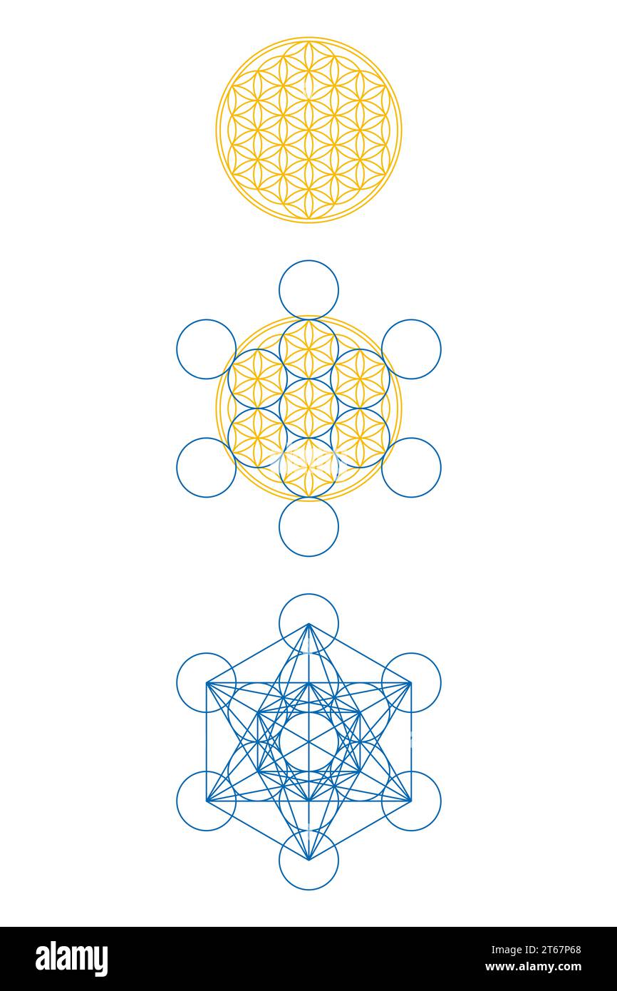 Flower of Life and Metatrons Cube. If you add 6 more circles to 7 circles in the Flower of Life, you get the Fruit of Life, and then Metatrons cube. Stock Photo