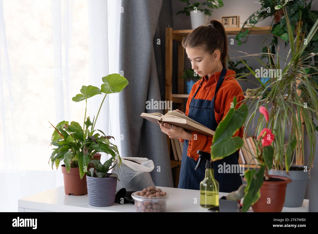 Pretty teenage girl replanting indoor plants into new pots reads a book about leaf problems. Stock Photo